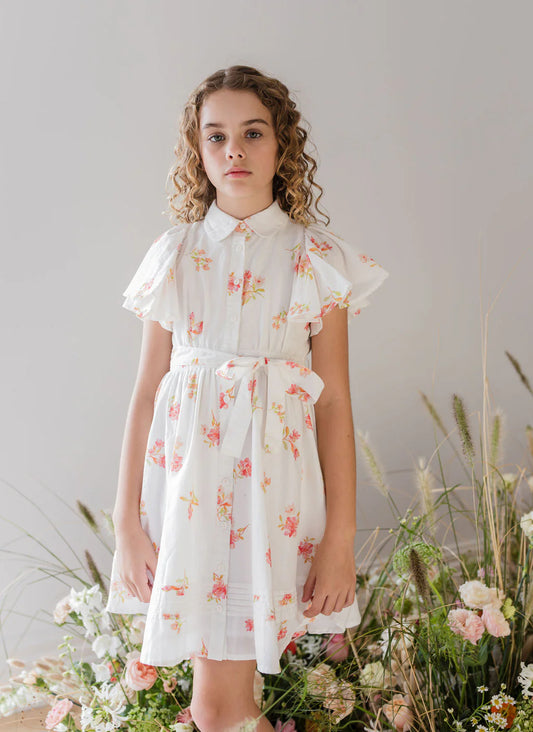 Steph Petite Rose Print Voile Dress